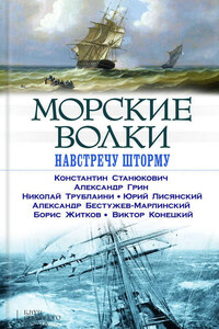 Морские волки. Навстречу шторму (сборник)