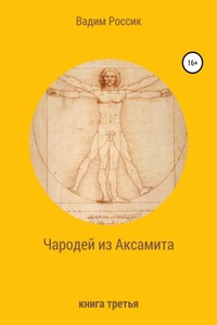 Чародей из Аксамита. Книга третья