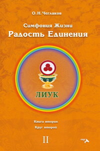 Симфония Жизни. Радость Единения. Книга вторая. Круг второй