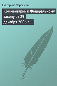 Комментарий к Федеральному закону от 29 декабря 2006 г. № 255-ФЗ «Об обеспечении пособиями по временной нетрудоспособности, по беременности и родам граждан, подлежащих обязательному социальному страхованию»