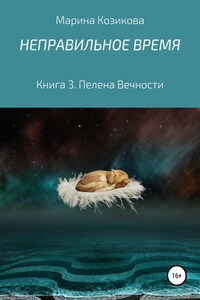 Неправильное время. Книга 3. Пелена Вечности