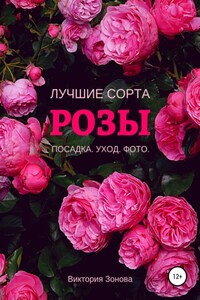 Розы. Лучшие сорта