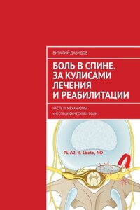 Боль в спине. За кулисами лечения и реабилитации. Часть III. Механизмы «неспецифической» боли