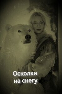 Осколки на снегу