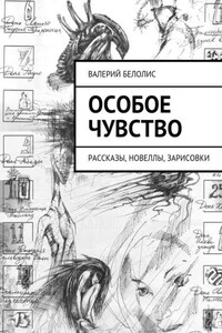 Особое чувство. Рассказы, новеллы, зарисовки