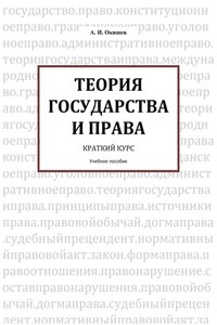 Теория государства и права. Краткий курс