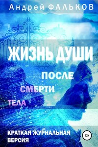 Жизнь души после смерти тела. Обобщение научных исследований