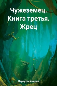 Чужеземец. Книга третья. Жрец