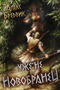 Уже не новобранец. Том 3