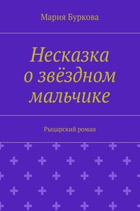 Несказка о звёздном мальчике. Рыцарский роман