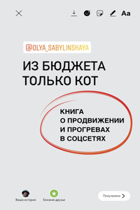 Из бюджета только кот. Книга о продвижении и прогревах в социальных сетях