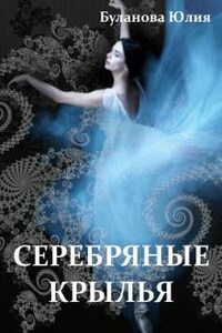 Серебряные крылья. Книга 2