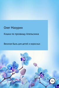 Кошка по прозвищу Апельсинка