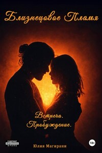 Близнецовое Пламя. Встреча. Пробуждение