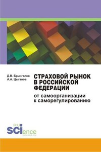 Страховой рынок в Российской Федерации. От самоорганизации к саморегулированию. Монография