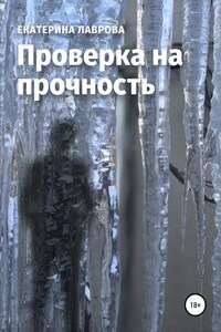 Проверка на прочность