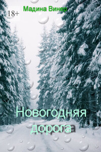 Новогодняя дорога