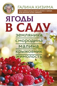 Ягоды в саду. Земляника, смородина, малина, крыжовник, жимолость