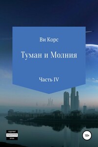 Туман и Молния. Книга IV