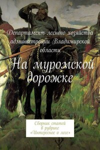 На муромской дорожке. Сборник статей в рубрике «Интересное о лесе»