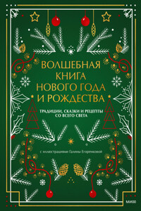 Волшебная книга Нового года и Рождества. Традиции, сказки и рецепты со всего света