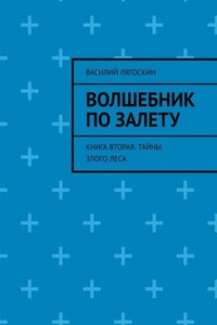 Волшебник по залету. Книга вторая. Тайны Злого Леса