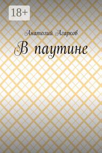В паутине