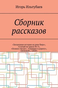 Сборник рассказов. «Загадочная история на реке Бирь», «Случай на трассе М-5», «Осиное гнездо», «Сюрприз в дорогу», «Домовой», «2020»