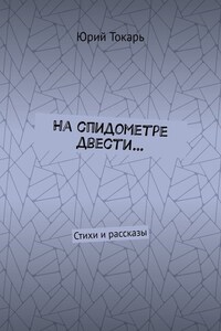 На спидометре двести… Стихи и рассказы