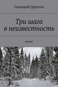 Три шага в неизвестность. Роман