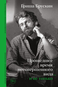 Прошедшее время несовершенного вида… и не только