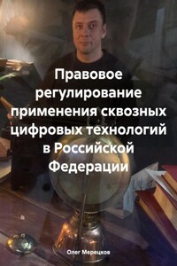 Правовое регулирование применения сквозных цифровых технологий в Российской Федерации