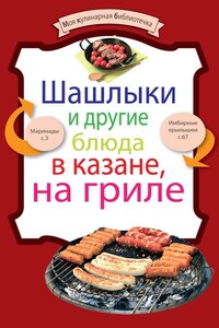 Шашлыки и другие блюда в казане, на гриле