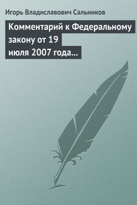 Комментарий к Федеральному закону от 19 июля 2007 года № 139-ФЗ «О российской корпорации нанотехнологий»