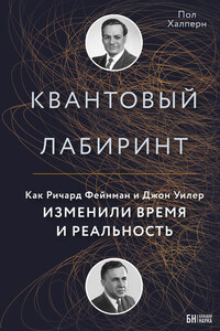 Квантовый лабиринт. Как Ричард Фейнман и Джон Уилер изменили время и реальность