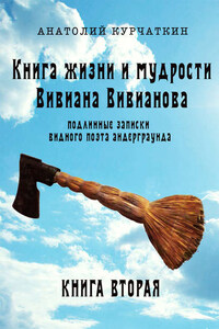 Книга жизни и мудрости Вивиана Вивианова. Подлинные записки видного поэта андерграунда. Книга вторая