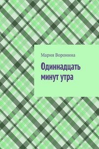 Одиннадцать минут утра