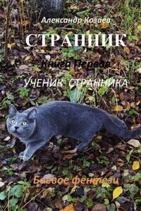 Странник  Книга первая Ученик Странника