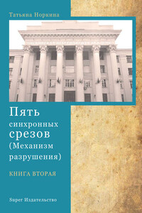 Пять синхронных срезов (механизм разрушения). Книга вторая