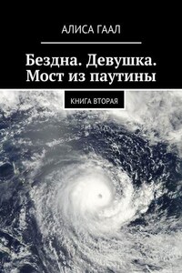 Бездна. Девушка. Мост из паутины. Книга вторая