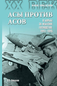 Асы против асов. В борьбе за небесное господство. 1941–1945