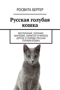 Русская голубая кошка. Воспитание, питание, обучение, характер и многое другое о породе русская голубая кошка