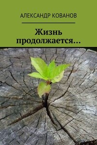 Жизнь продолжается…