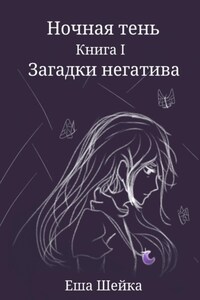 Ночная тень. Книга 1. Загадки негатива