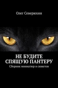 Не будите спящую пантеру. Сборник миниатюр и сюжетов