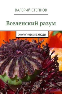 Вселенский разум. Экологические этюды