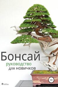 Бонсай – руководство для начинающих