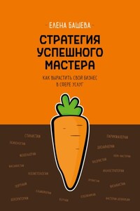 Стратегия успешного мастера. Как вырастить свой бизнес в сфере услуг