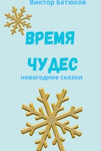 Время чудес. Новогодние сказки