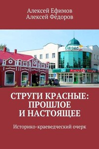 Струги Красные: прошлое и настоящее. Историко-краеведческий очерк